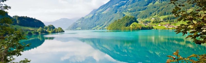 swissBanner