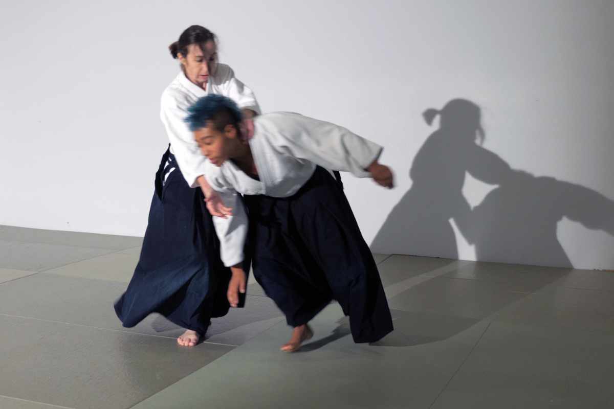 Combat de Aikido. Femme contrôlant un homme