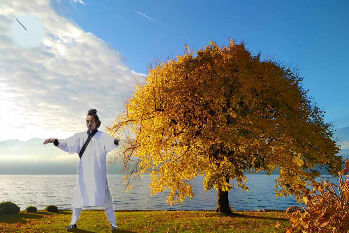 un homme en blanc pratique wuji sous un arbre doré
