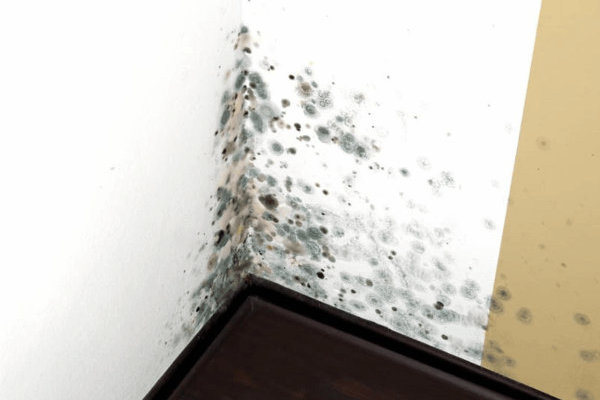 humidity-r-600x400
